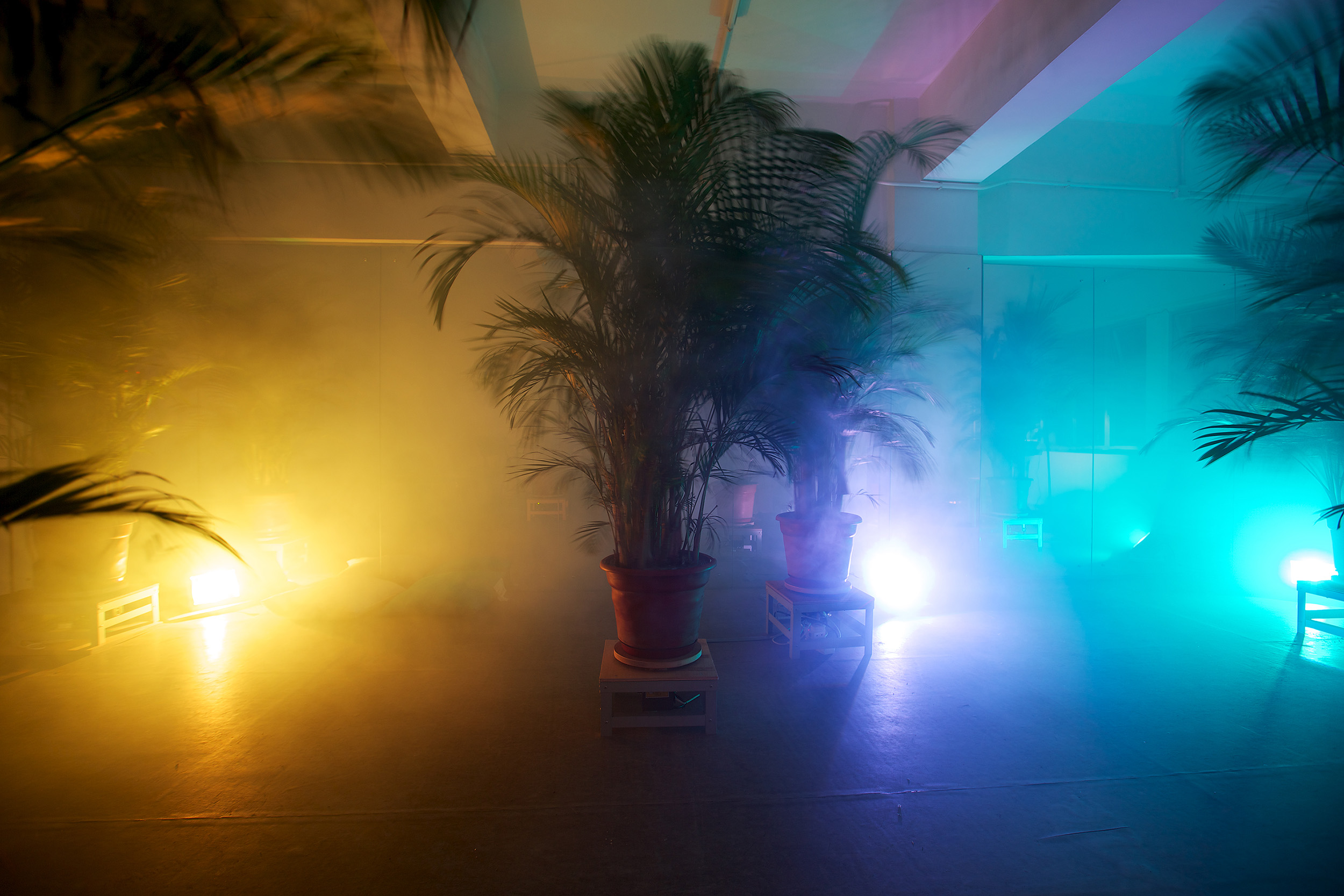 Mr. Butterflies. 2012