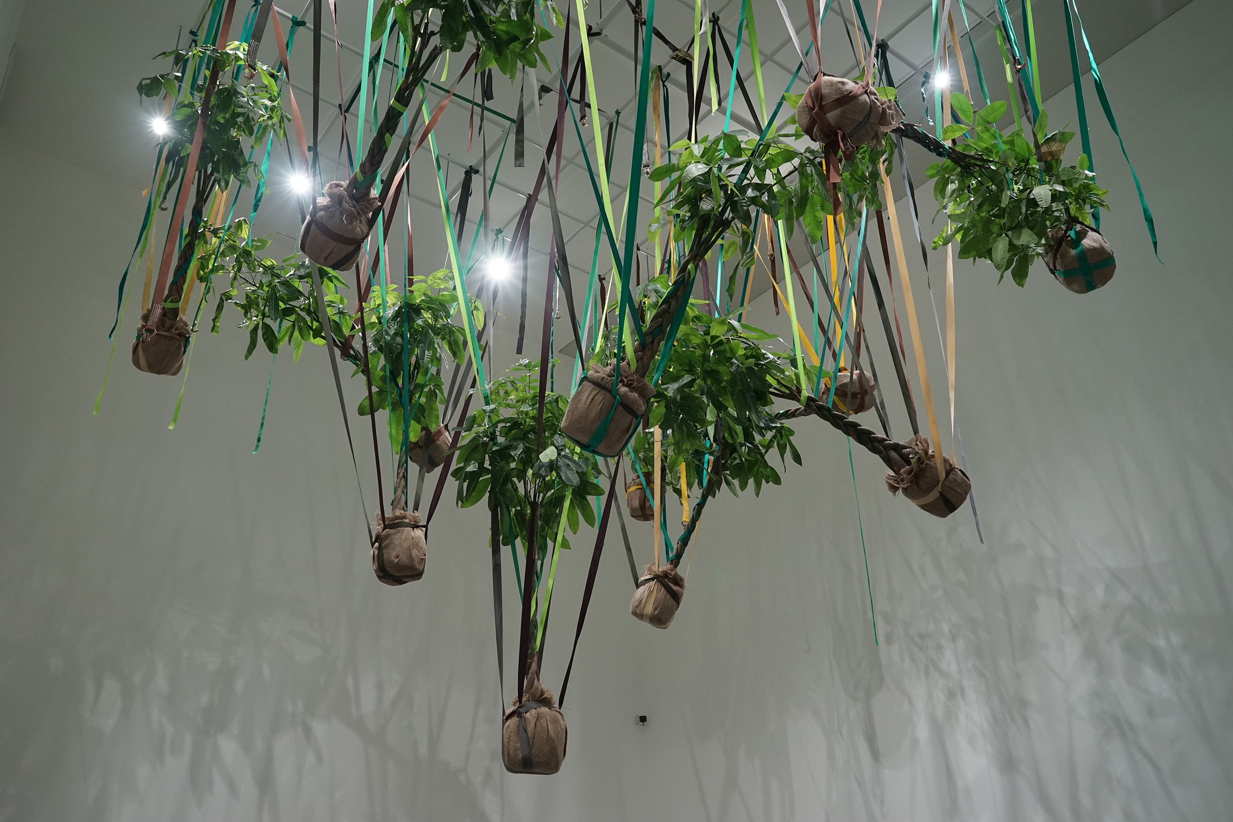 Mr. Cuddles Under the Eave. 2021