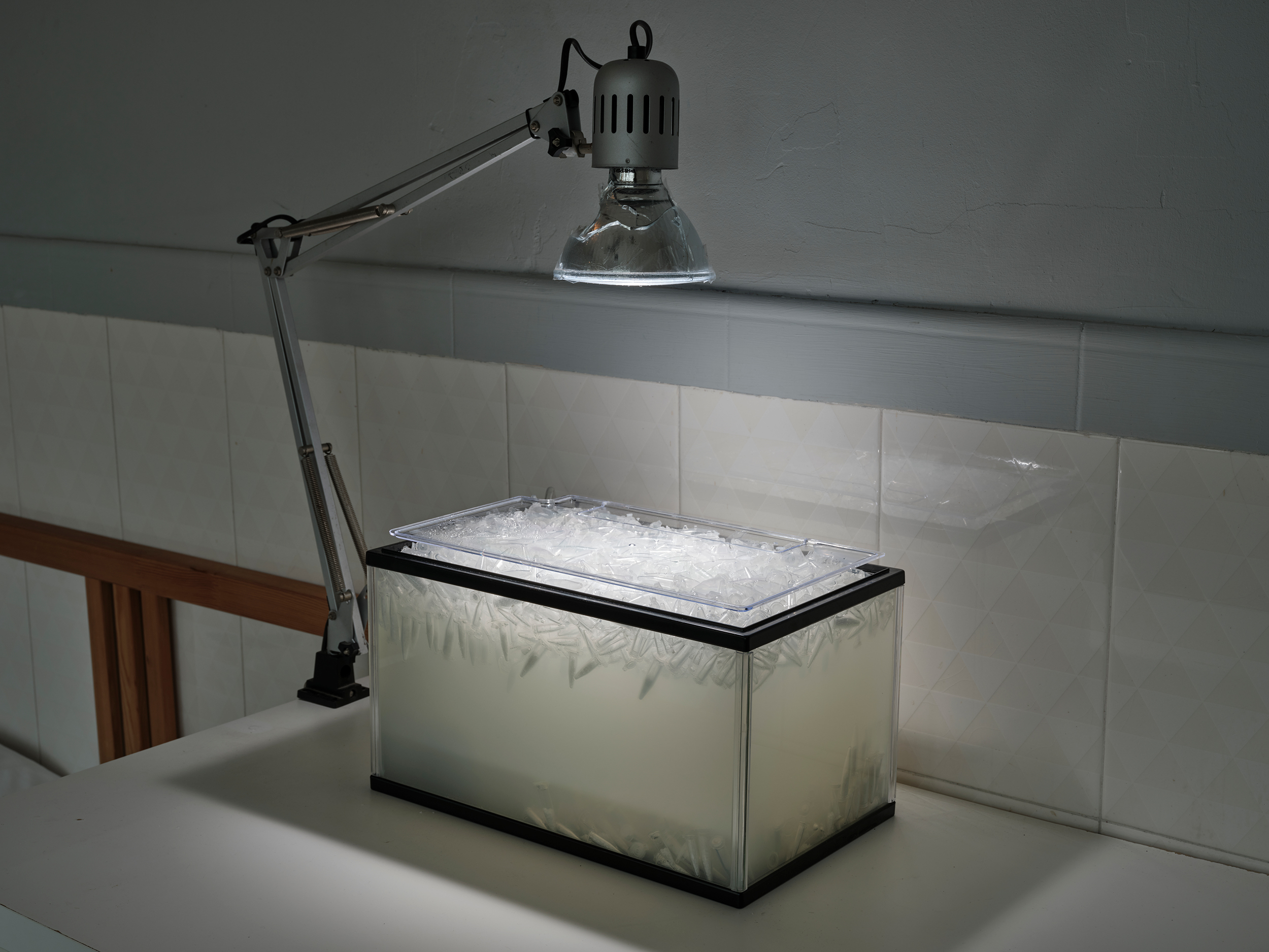  Soft and Milky but don't smell it (Fishtank). 2020