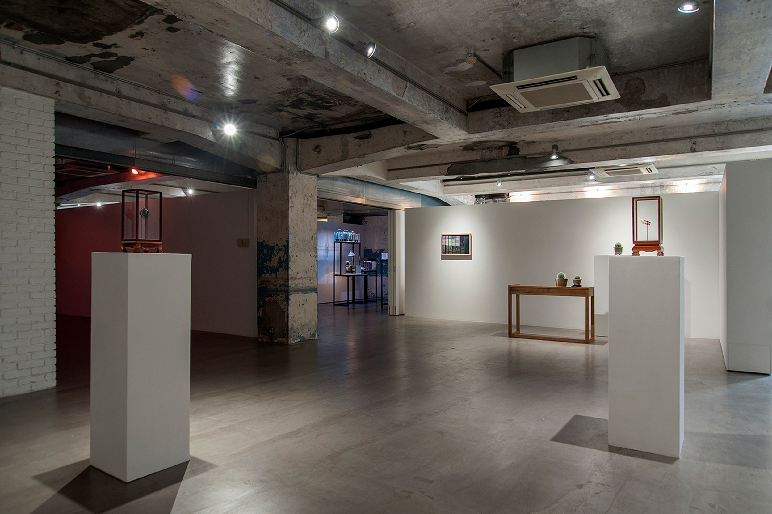 The Sunset of Last Summer. 2016